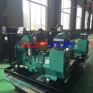 Diesel engine and generator
