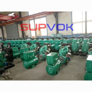 Diesel engine and generator