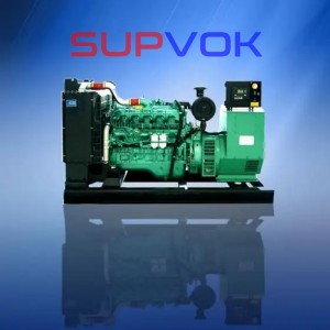Diesel engine and generator