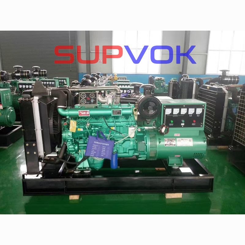 Diesel engine and generator