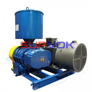 Blower and Roots blower