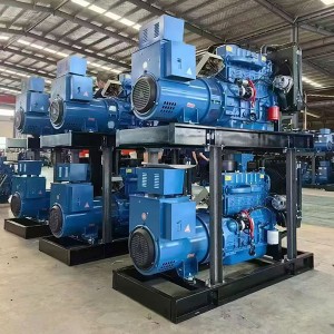 Vehicle Diesel Engine Power Station