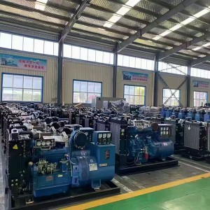 Diesel engine and generator